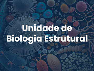 I Workshop em Inovação Tecnológica